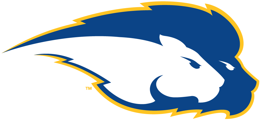 Hofstra Pride 2005-Pres Secondary Logo diy iron on heat transfer